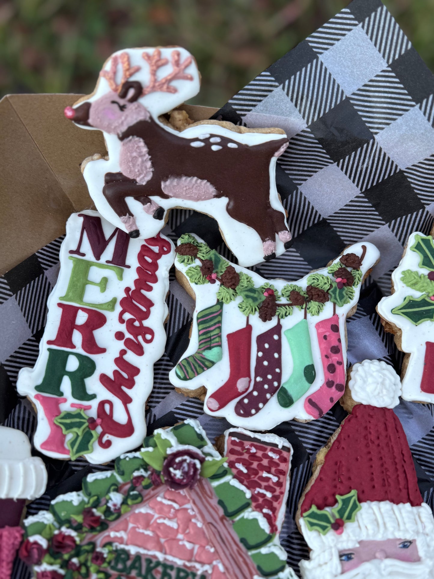 Christmas 2025 Cookies—Grand Champion Winning recipe & art