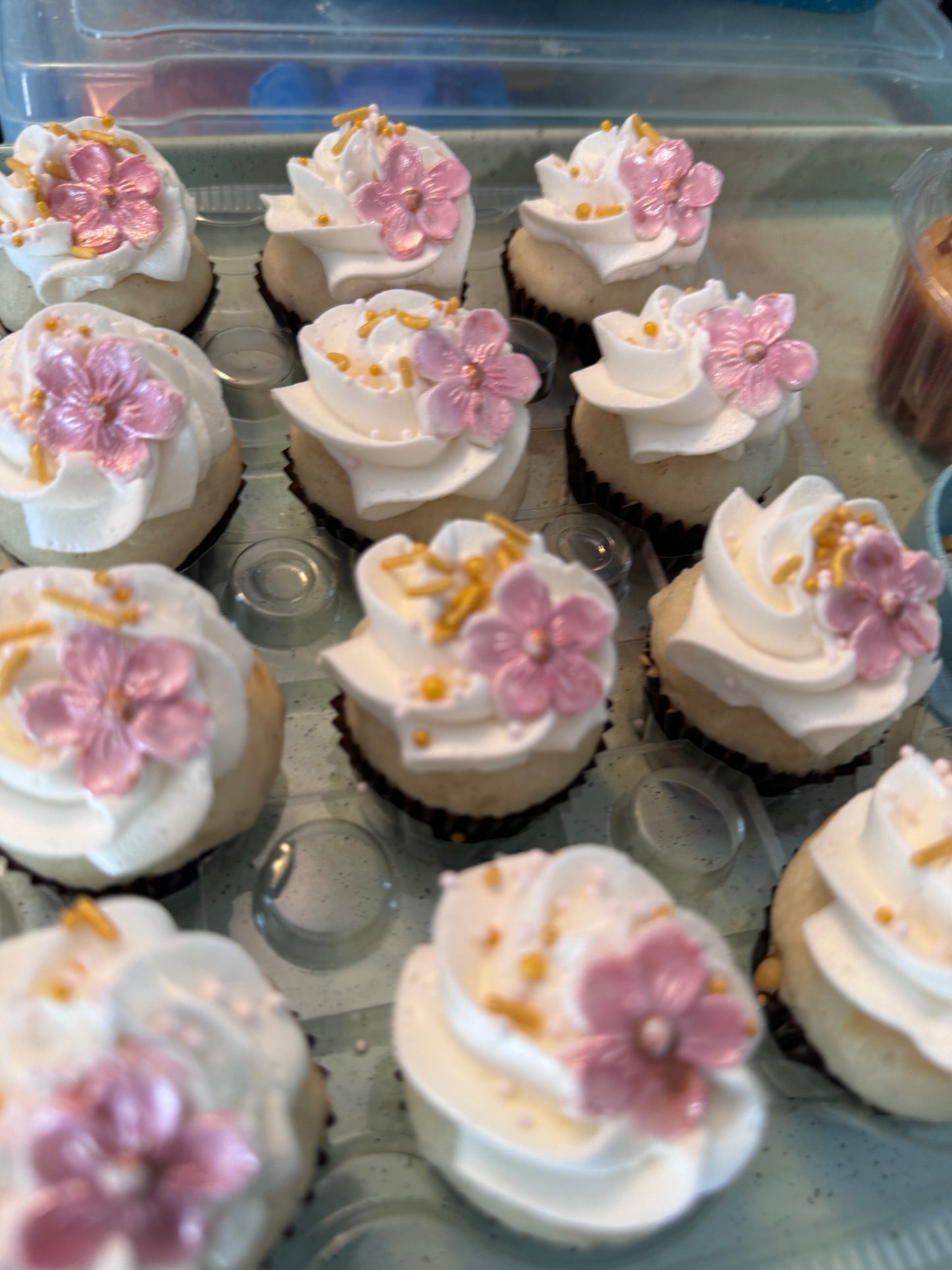 Dozen Mini Gourmet Cupcakes